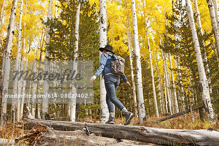 Woman hiking through rural setting, rear view, Flagstaff, Arizona, USA