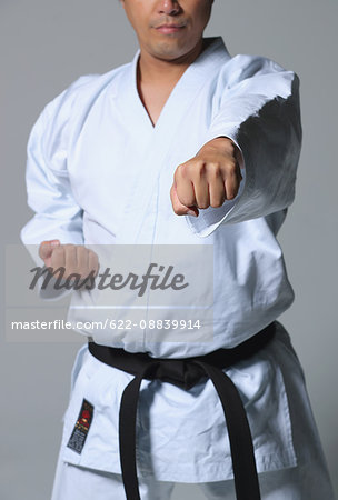 Japanese karate master training
