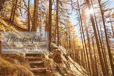 Family hiking, rear view, low angle view, Schnalstal, South Tyrol, Italy
