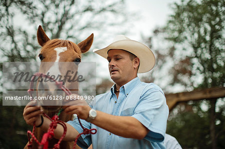 Mid adult horse trainer gently slips a rope halter around the nose of a horse in the training yard at the ranch.