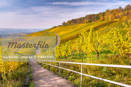 Vineyard Kappelberg, Herbst, Baden-Wurttemberg, Germany, Europe