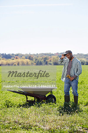 A young man in working clothes standing in a crop next to a wheelbarrow touching the brim of his cap.