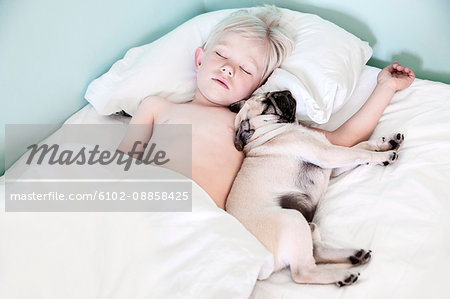 Boy sleeping with pug