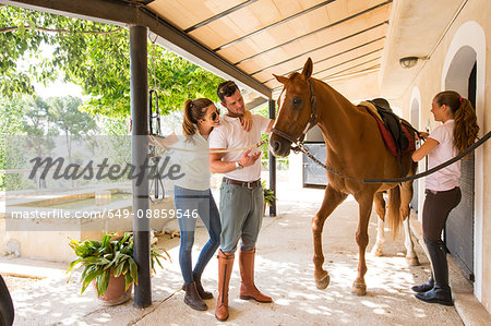 Female groom fastening saddle on horse at rural stables