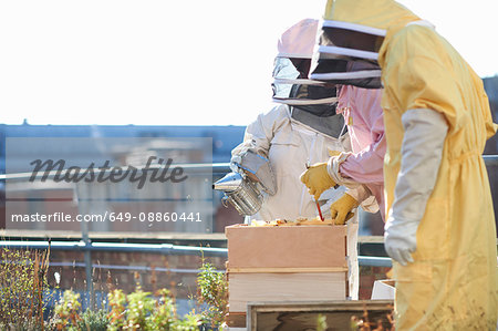 Male and female beekeepers tending trays on city rooftop