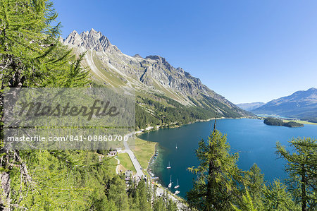 View of the blue Lake Sils from Plaun da Lej, Canton of Graubunden, Engadine, Switzerland, Europe