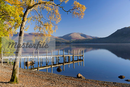 Autumn sunshine over Brandlehow, Borrowdale, The Lake District National Park, Cumbria, England, United Kingdom, Europe Autumn sunshine over Brandlehow, Borrowdale, The Lake District National Park, Cumbria, England, United Kingdom, Europe