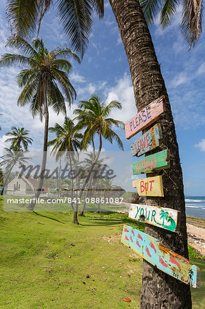 Beach, Bathsheba, St. Joseph, Barbados, West Indies, Caribbean, Central America