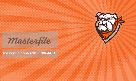 Business card showing Illustration of an angry bulldog head wearing neckerchief set on sunburst background done in retro style.