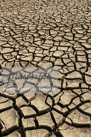 Dried and Cracked Earth, Dabhoi, Gujarat, India