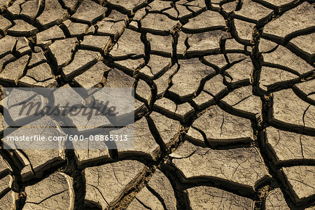 Dried and Cracked Earth, Dabhoi, Gujarat, India