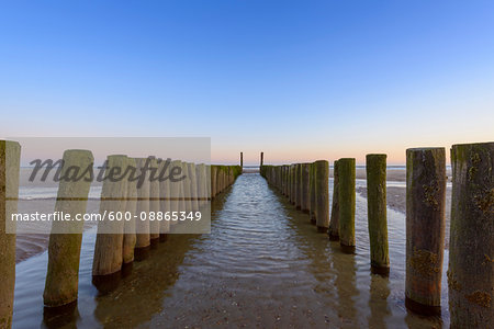 Wooden Breakwater on Beach at Low Tide, Domburg, North Sea, Zeeland, Netherlands
