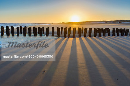 Wooden Breakwater on Sandy Beach at Low Tide at Sunrise, Domburg, North Sea, Zeeland, Netherlands