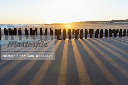Wooden Breakwater on Sandy Beach at Low Tide at Sunrise, Domburg, North Sea, Zeeland, Netherlands