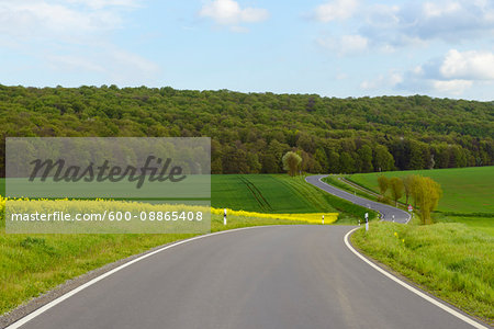 Road in Countryside in Spring, Birkenfeld, Franconia, Bavaria, Germany