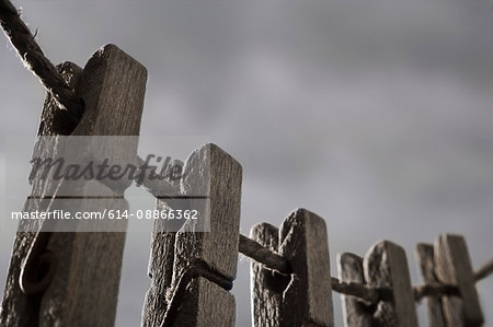 Clothes pegs on washing line