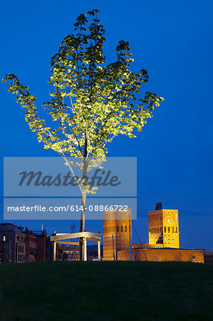 Oslo City Hall and tree on Aker Brygge