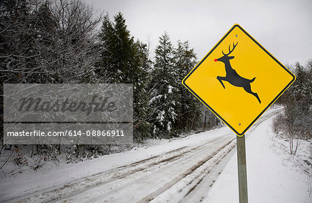 Rudolph the red nosed reindeer road sign