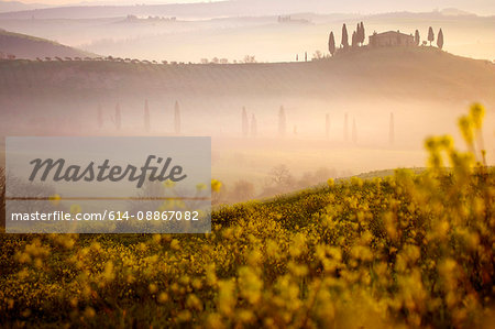 Orcia valley in spring