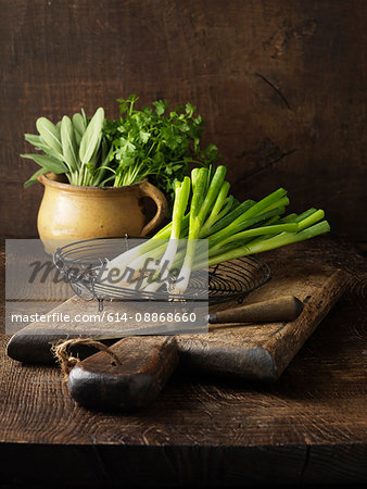 Green onions and herbs on wooden board