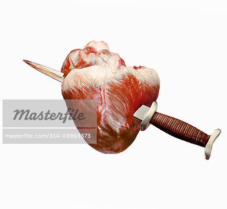 Close up of knife in anatomical heart