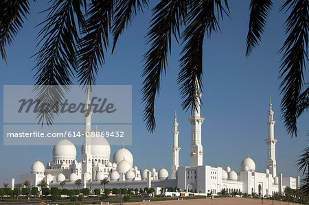 Grand Mosque viewed from under tree