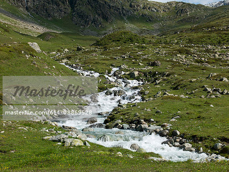 Stream rushing over rocks in meadow