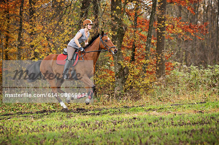 Woman riding horse in forest