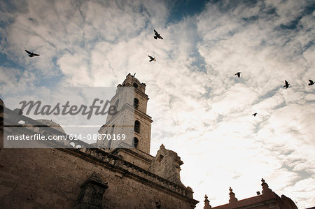 Birds flying over cathedral tower