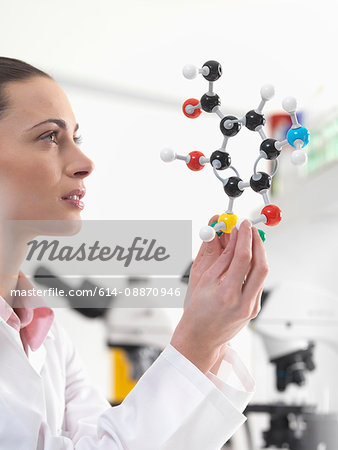 Scientist examining molecular model