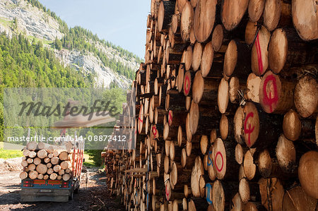 Pile of logs and truck