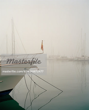 Boats in harbour in fog