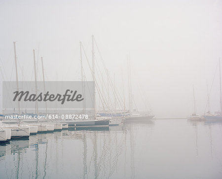 Boats in harbour in fog