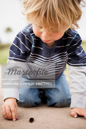 Boy playing with caterpillar