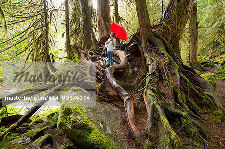 Woman standing on large tree roots with red umbrella