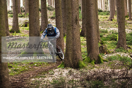 Young male on mountain bike riding through forest
