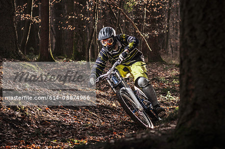 Mountain biker riding through forest