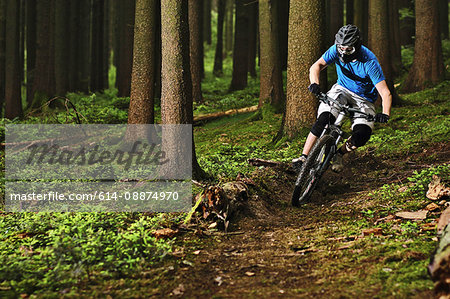 Male mountain biker riding through woods