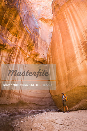 Male hiker in Paria Canyon, Vermilion Cliffs Wilderness, Utah, USA