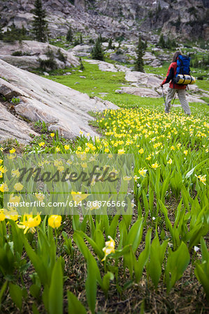 Woman backpacking near Upper Lake in Hell Canyon, Indian Peaks Wilderness, Colorado, USA
