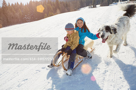 Brother and sister tobogganing with pet dog