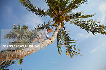 Low angle view of boy climbing palm tree, Rawa Island Malaysia