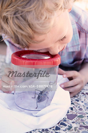 Young boy looking at bug through magnified container