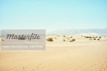 Two tourists on Mesquite Dunes, Death Valley, California, USA