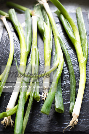 Still life of raw spring onions