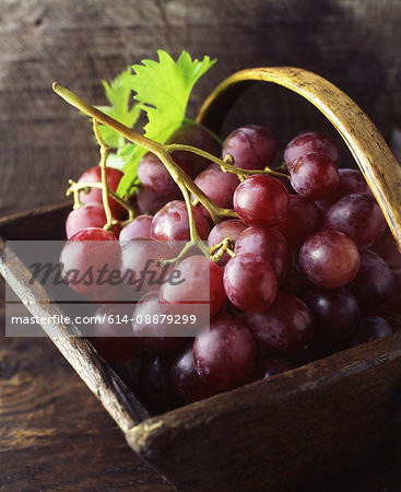 Bunch of red grapes in vintage basket