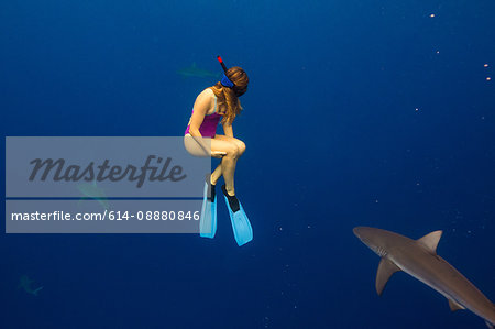Underwater view of woman snorkeling with sea life, Oahu, Hawaii, USA
