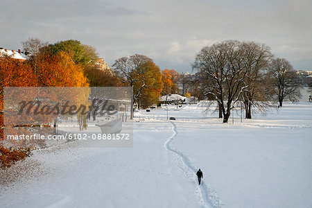 Person walking through winter park