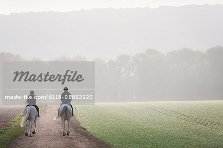 Rear view of two riders on grey horses riding along a path through a field.