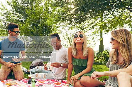 Five adult friends picnicking in park